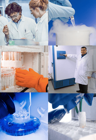 Cold Storage eBook Image.png