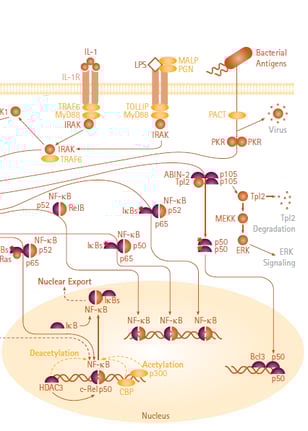toll-like.png toll-like.png