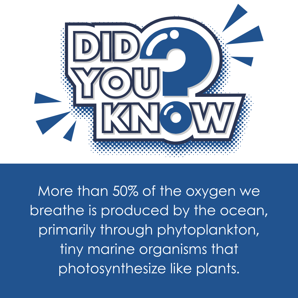 Did you know fact stating that over 50% of the oxygen we breathe is produced by the ocean, mainly through phytoplankton