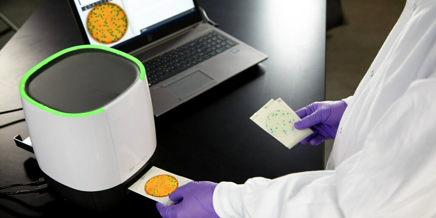 Faster Automated Plate Enumeration