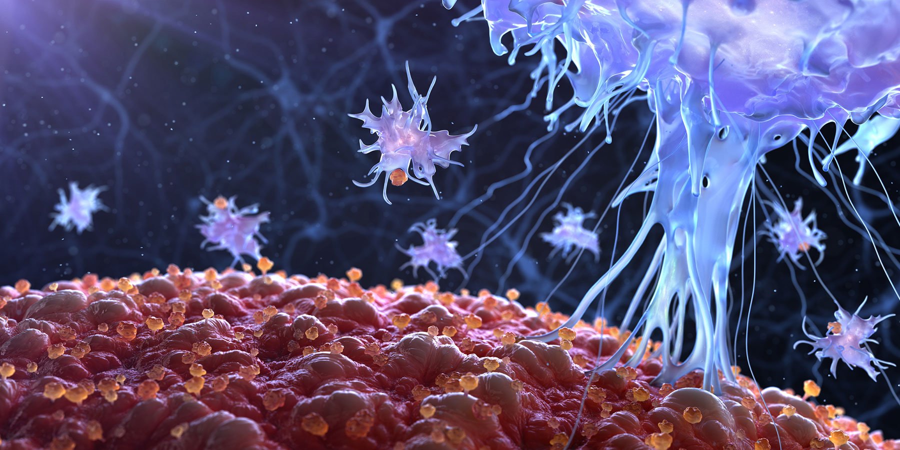 T-Cell-Image-1800x900