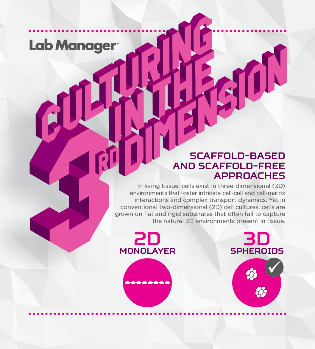 3D Cell Culture Infographic