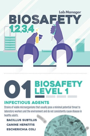 biosafety Infographic