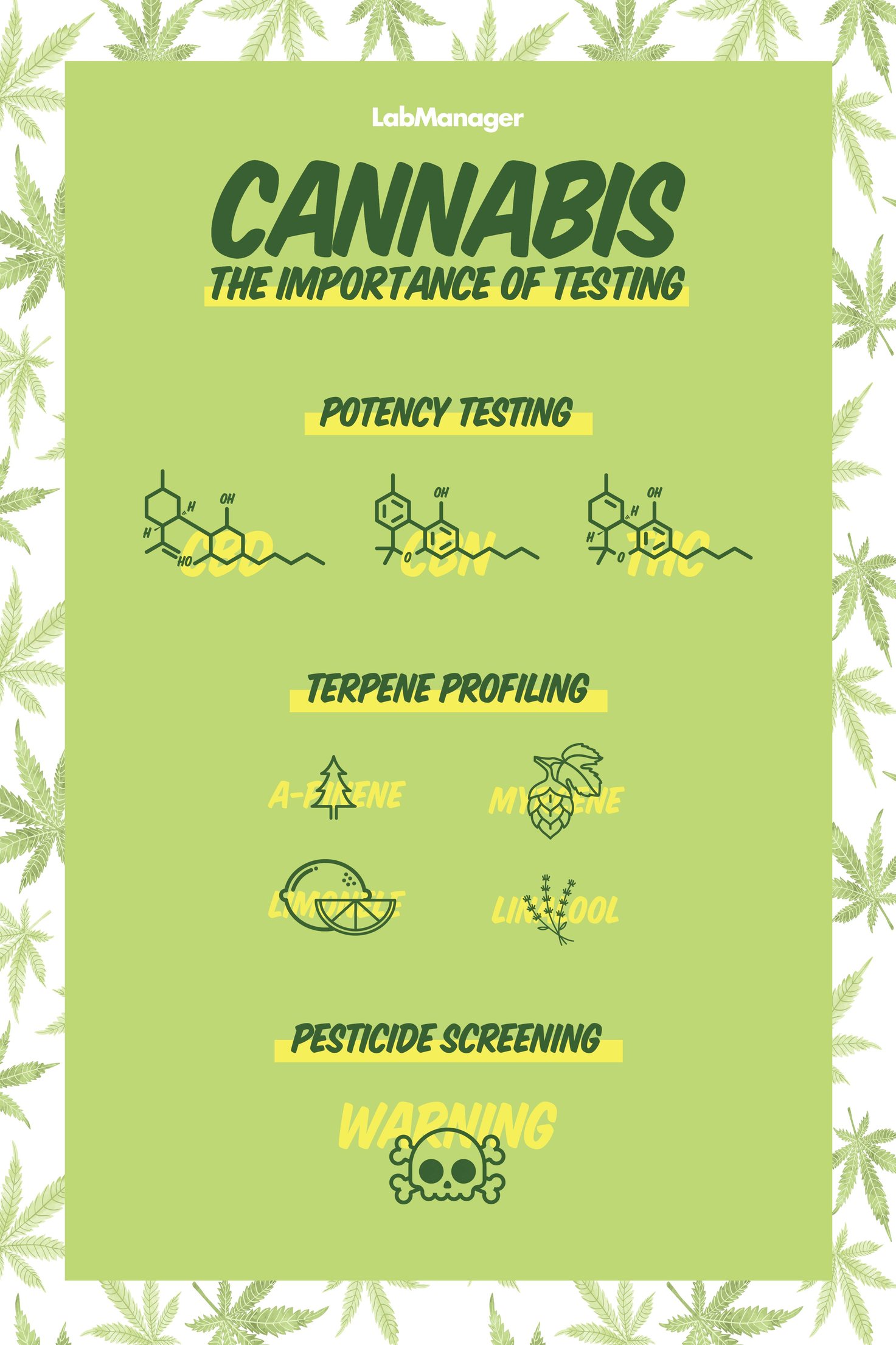 cannabis Infographic