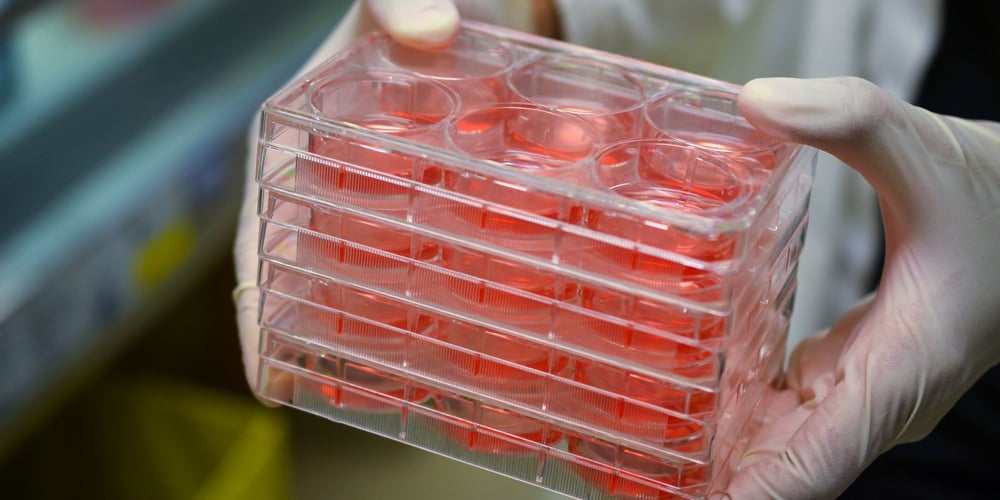 24/7 Remote Cell Culture Incubation Monitoring