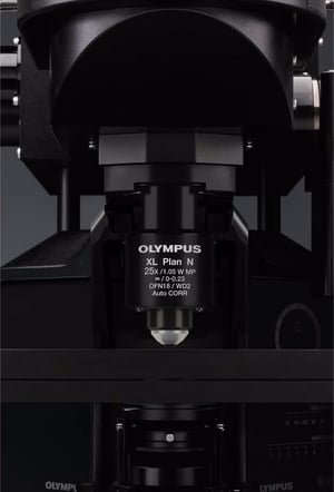 olympus-microscope-tall