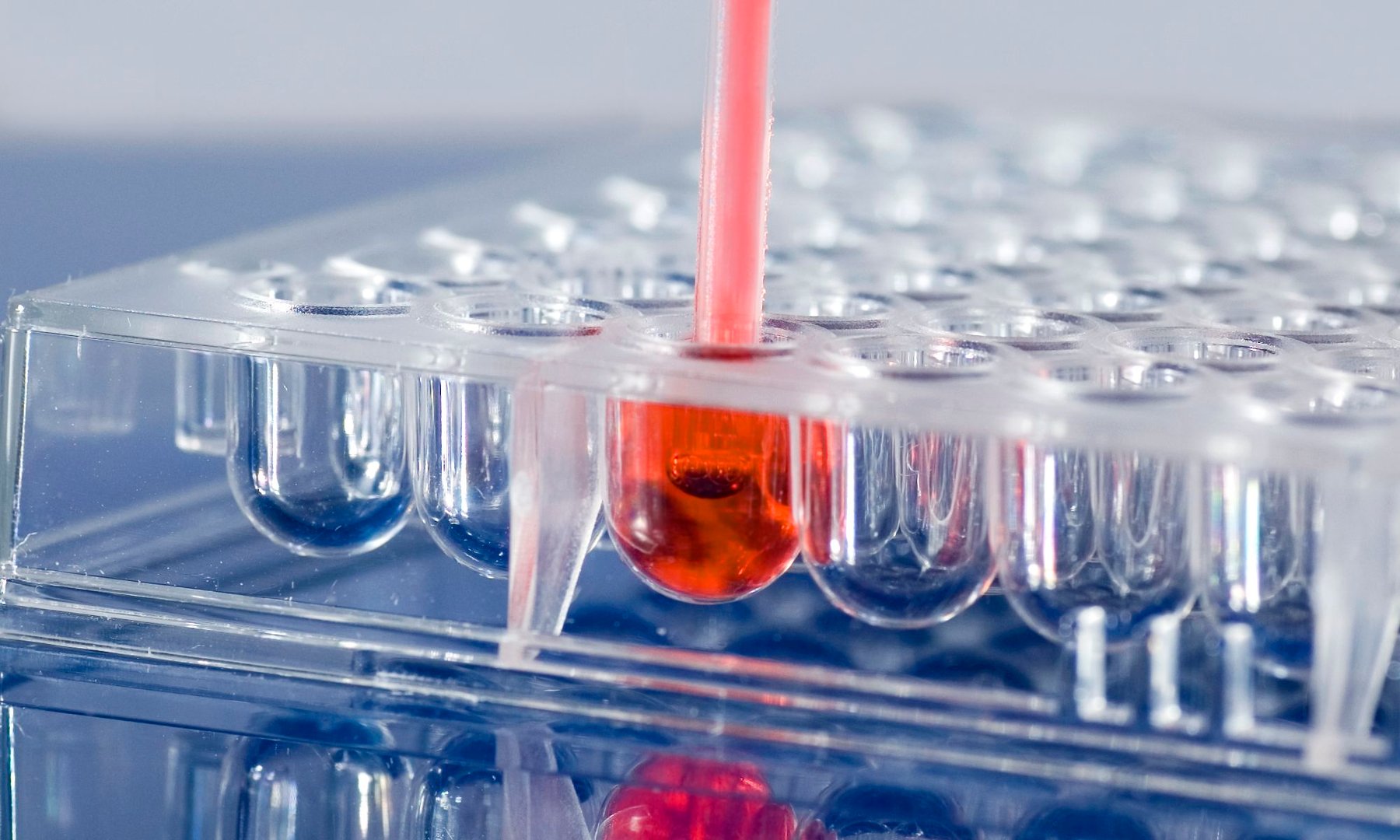 Collect and Transfer Micro Samples With Accuracy, Precision, and Ease