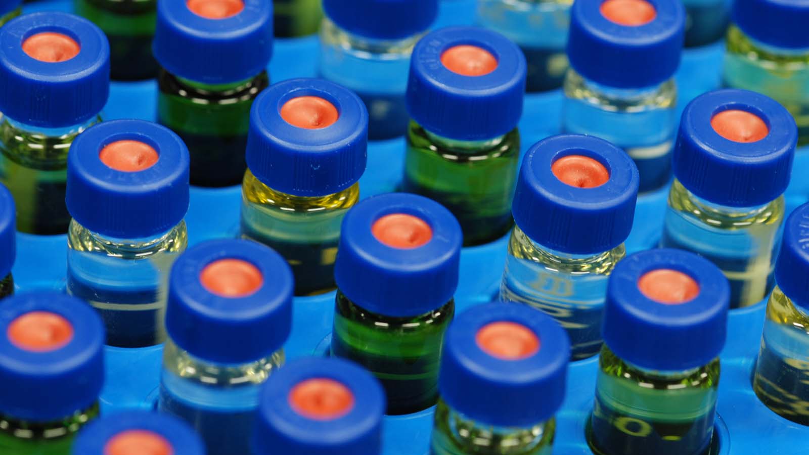 Triple Quadrupole GC/MS Application Compendium